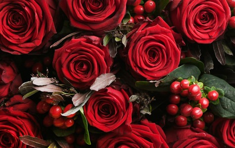 roses rouges